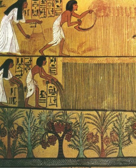 La naissance du Lin commence en Égypte