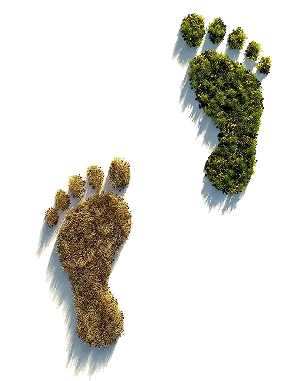 ecological footprint