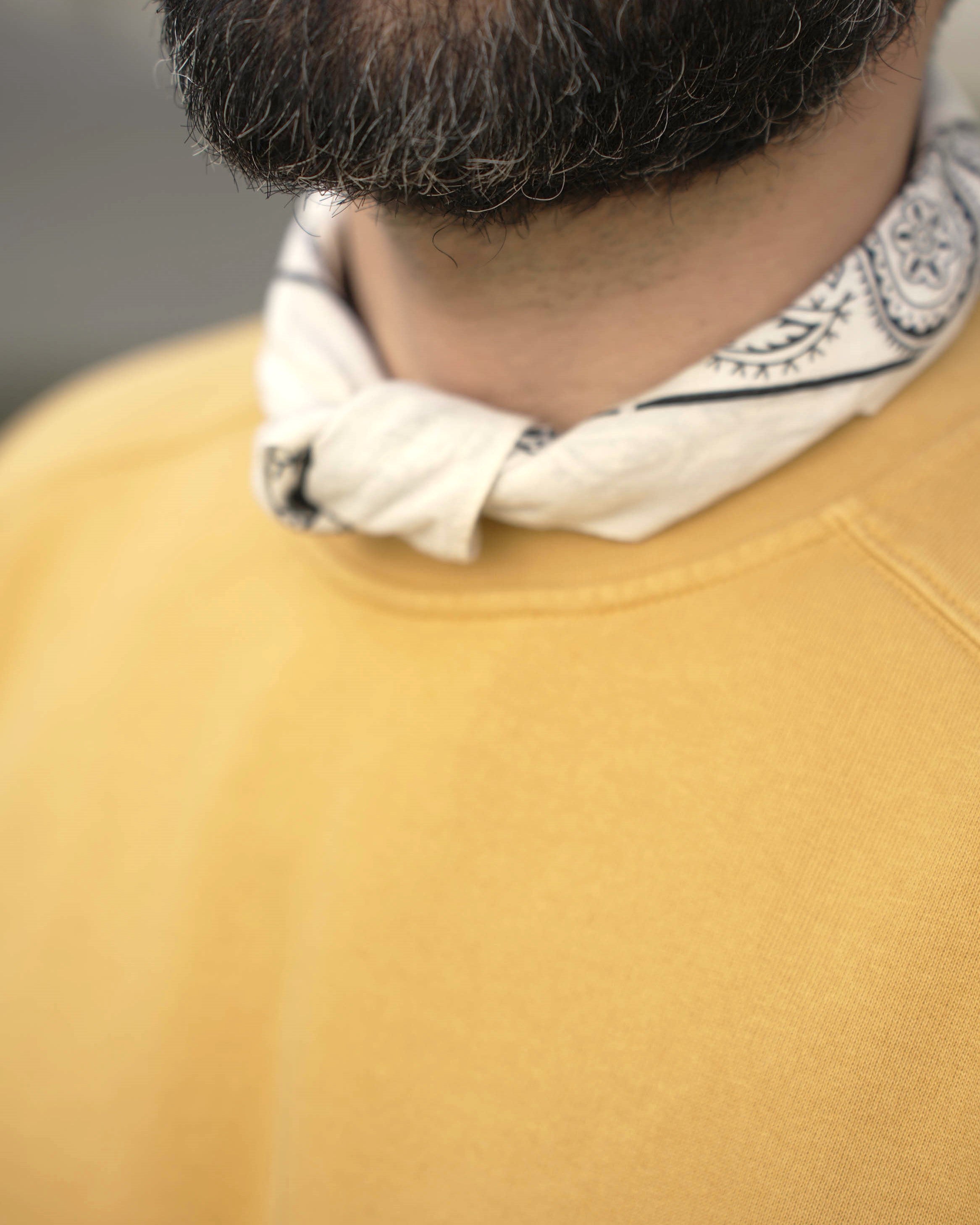 SWEAT JAUNE MIEL | CHRIS -