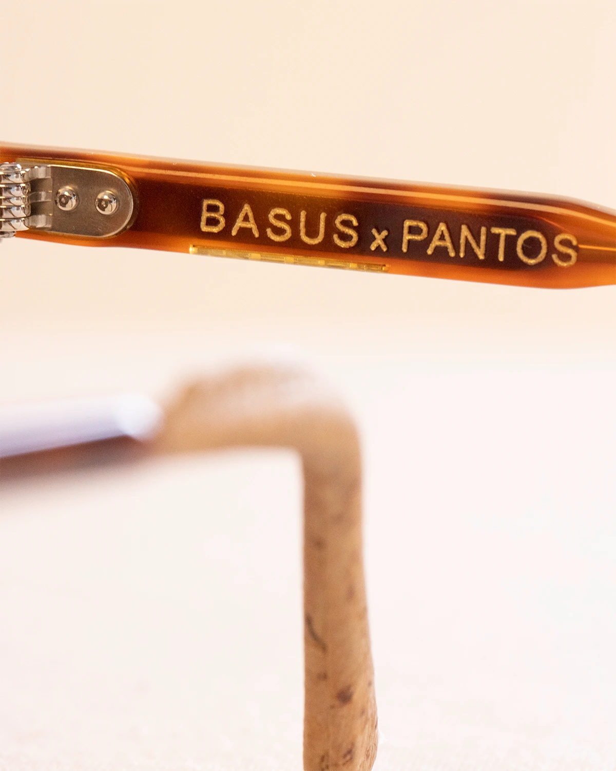 lunettes turtoise - détails branches