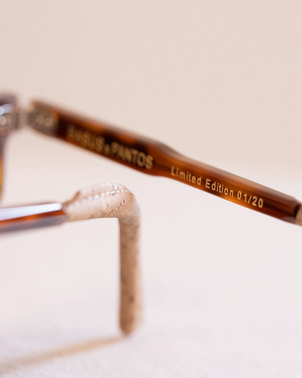 lunettes turtoise - détails branches